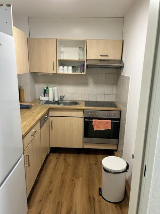 2 Zi Whng Stadtmitte Loerrach Exteriör bild